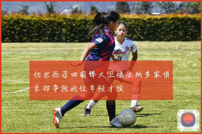 切尔西召回前锋大卫福法纳多家俱乐部争抢这位年轻才俊