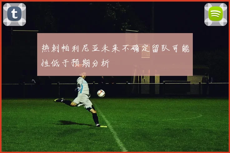 热刺帕利尼亚未来不确定留队可能性低于预期分析