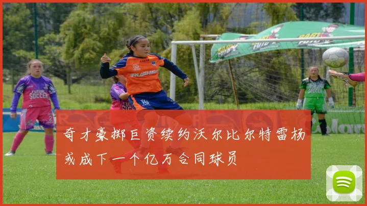 奇才豪掷巨资续约沃尔比尔特雷杨或成下一个亿万合同球员